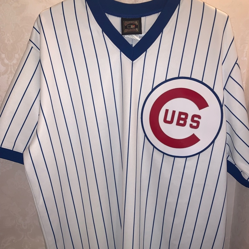 Cubs Size L #10 Santo Jersey Authentic